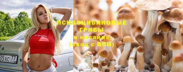 таблы Белокуриха