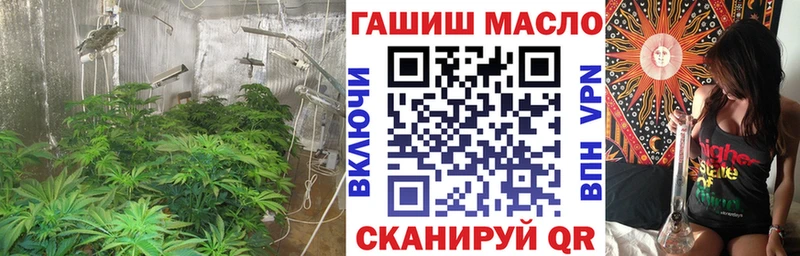 omg   Кувшиново  ТГК концентрат 