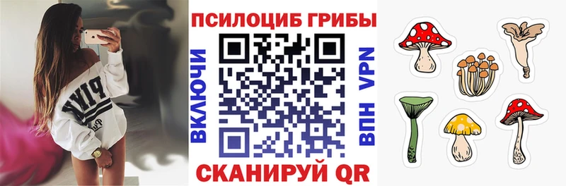 Галлюциногенные грибы прущие грибы Кувшиново